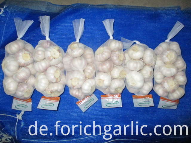 Jinxiang Fresh Normal White Garlic